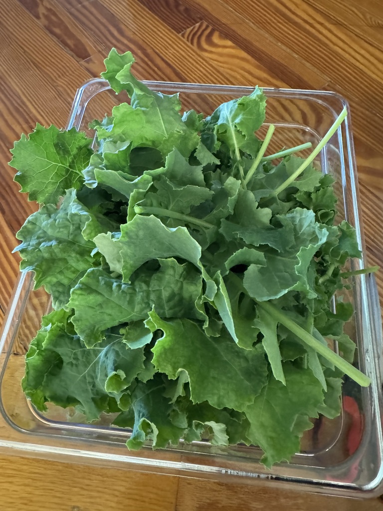 Kale