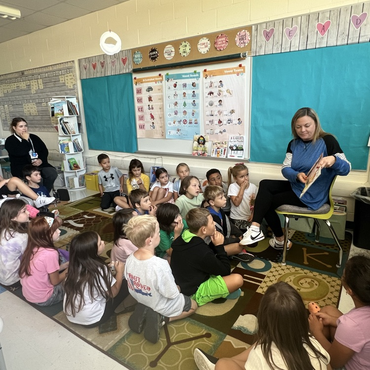 mystery reader