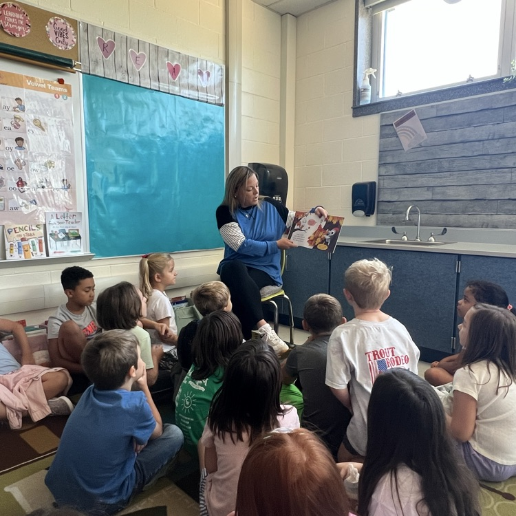 mystery reader