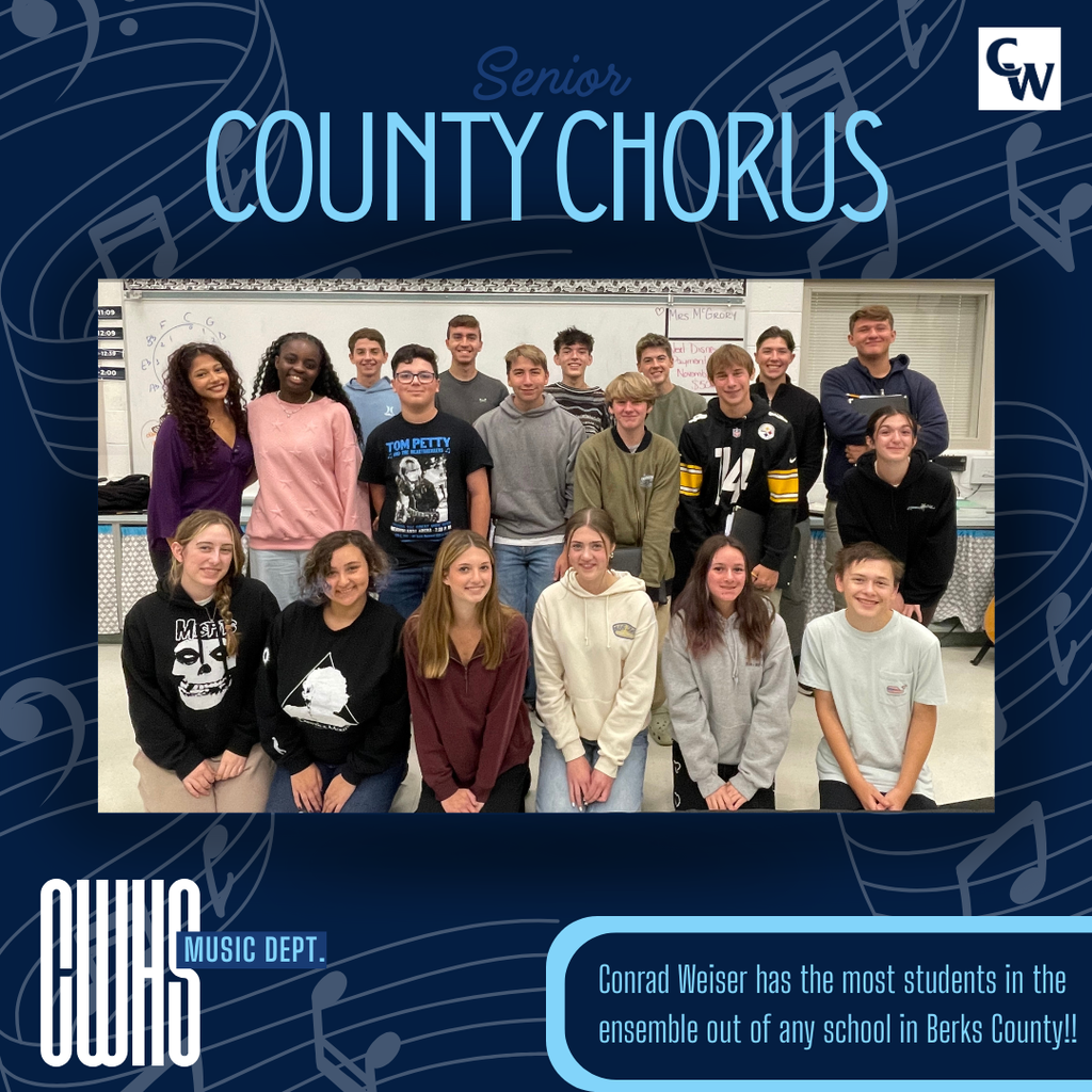 PIcture of male and female students who also sing and made senior county chorus