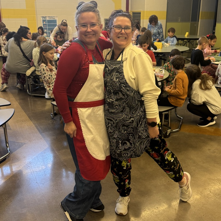 instructional coaches