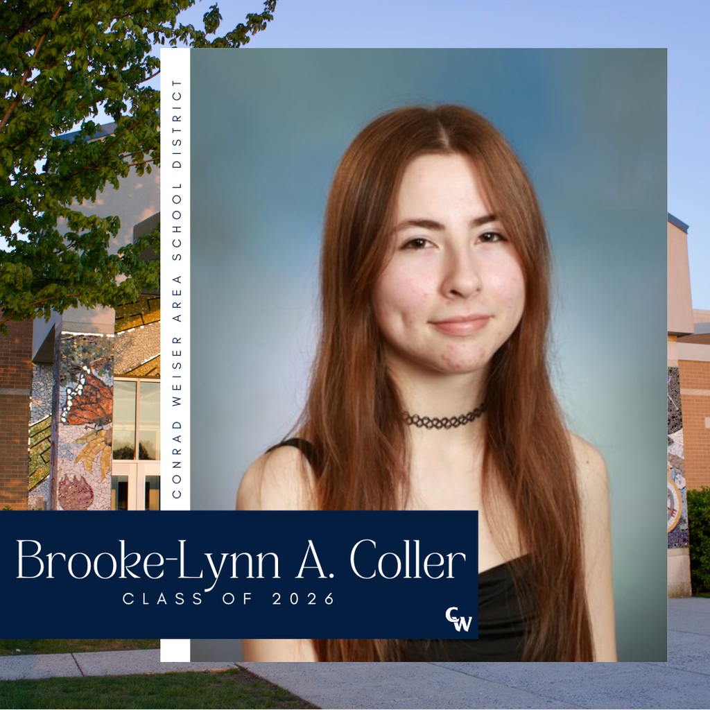 senior photo with decorative frame