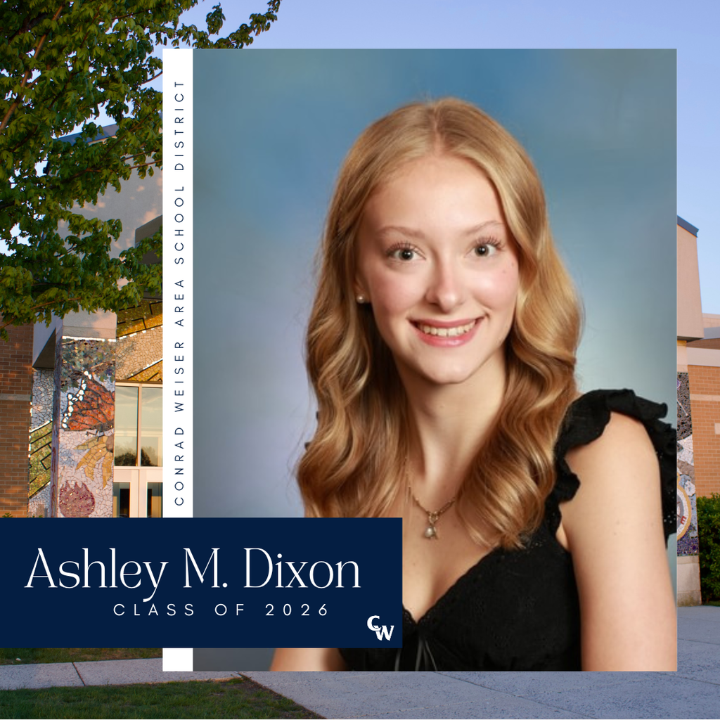 senior picture with decorative frame