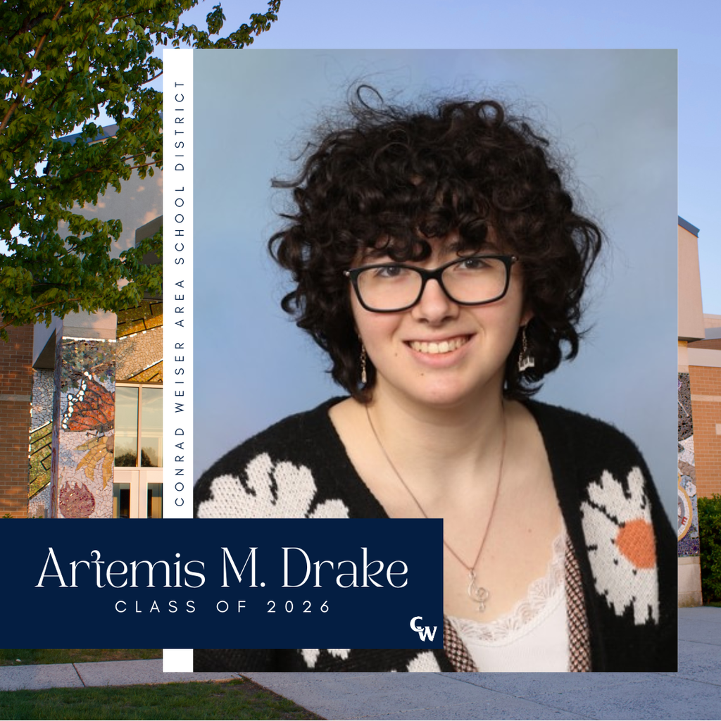 senior picture with decorative frame