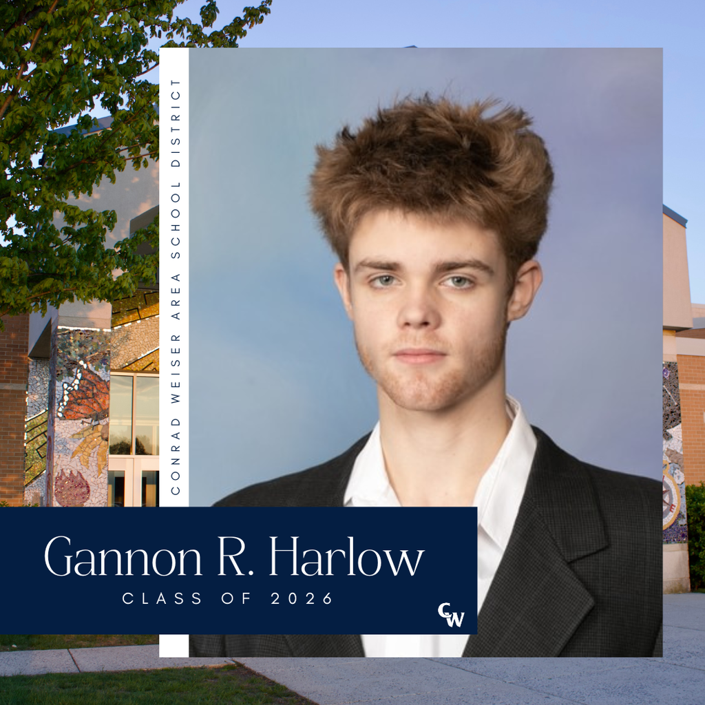 senior picture with decorative frame