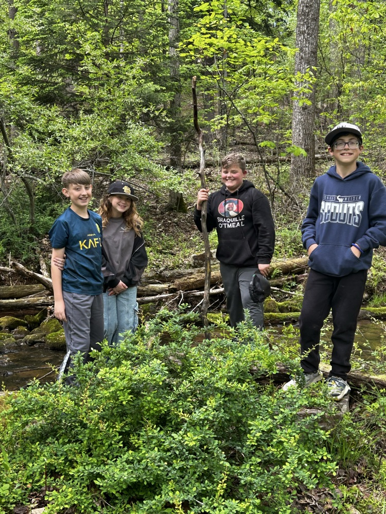 students in the woods