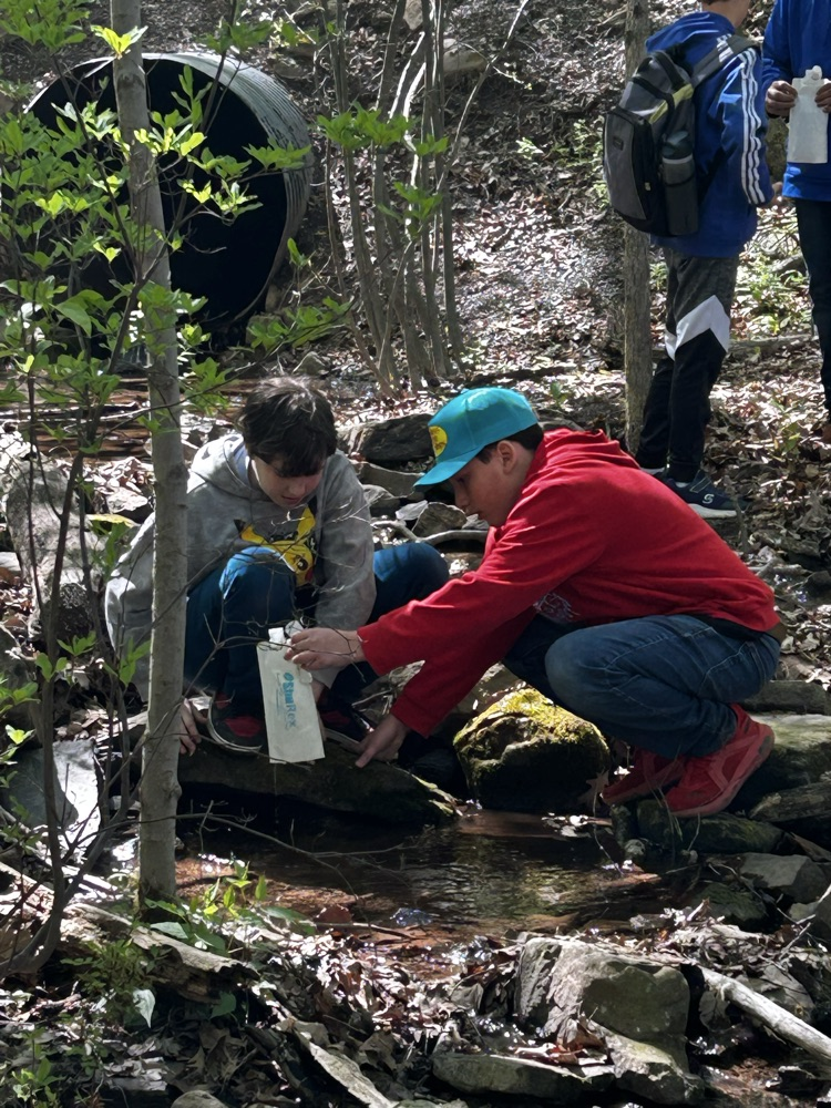 students in the stream for a stream study