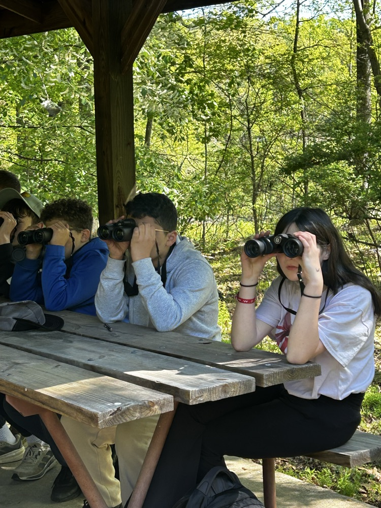 students looking for birds