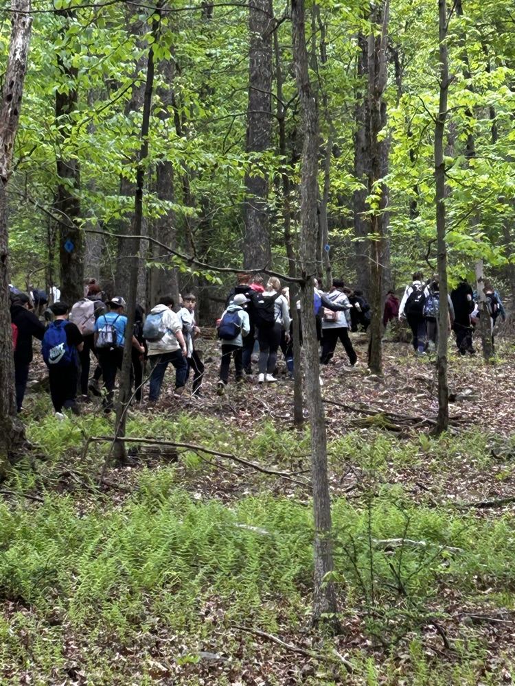 students hiking on the woods