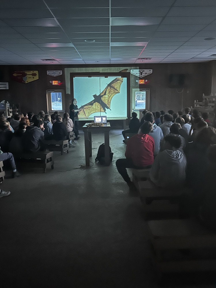a presentation on bats with students sitting in rows looking at a slide show