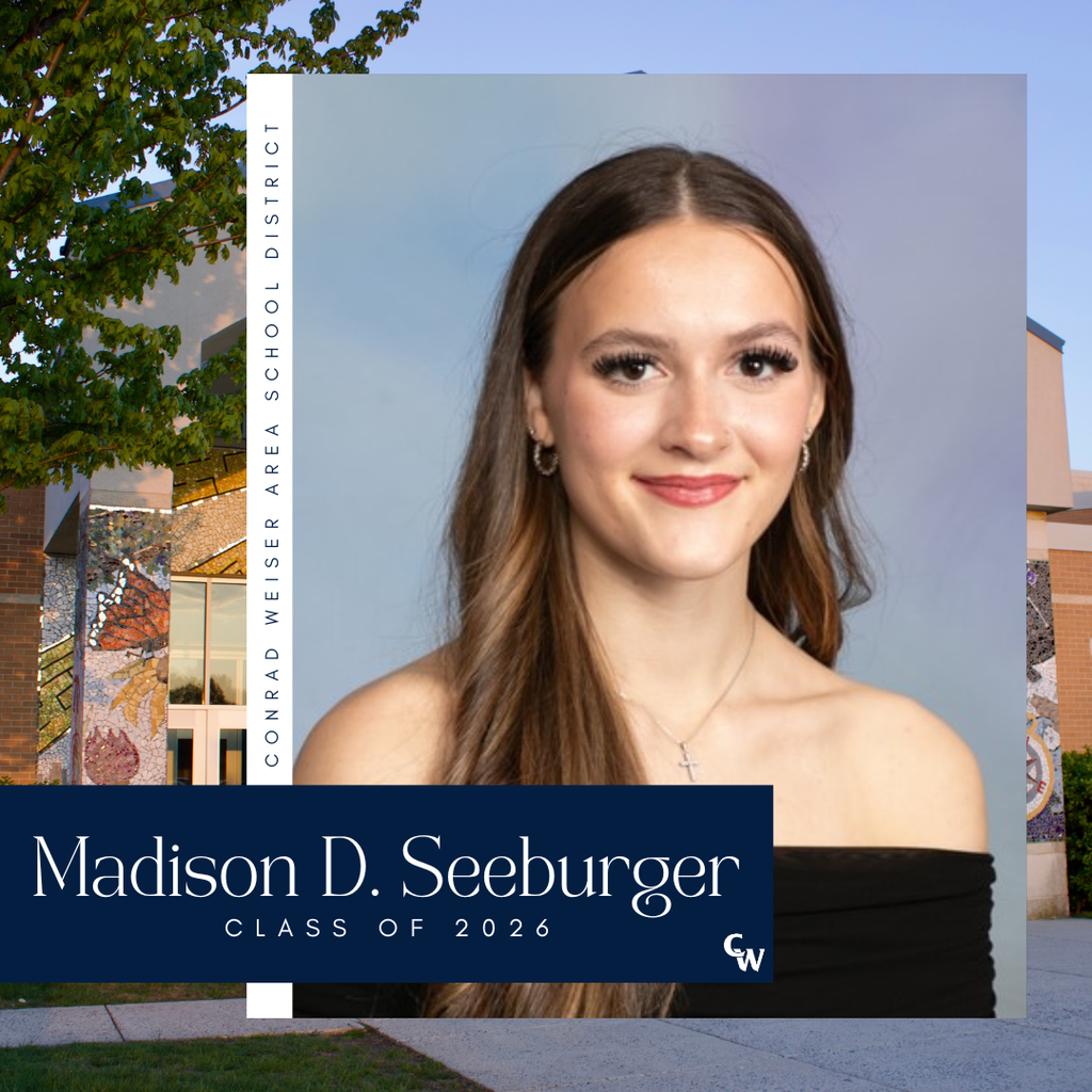 senior photo with decorative frame