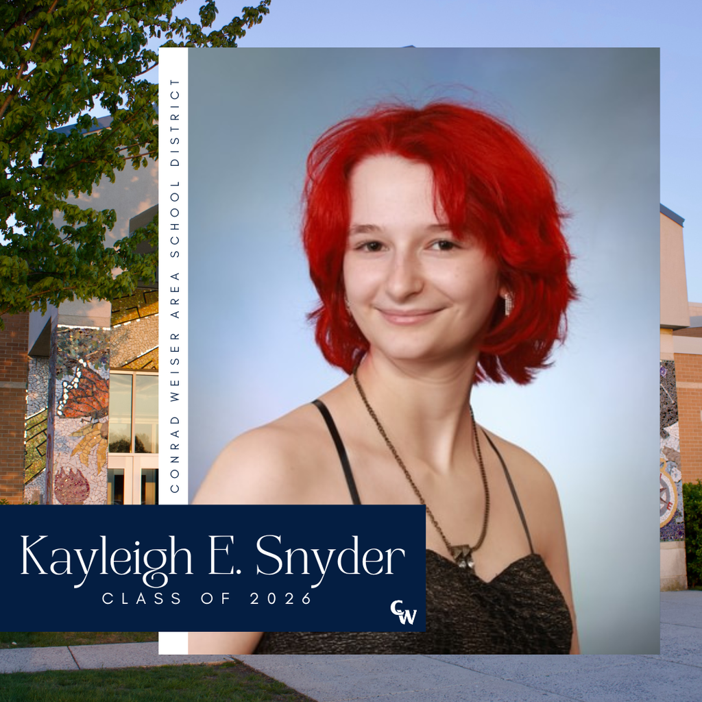 senior photo with decorative frame