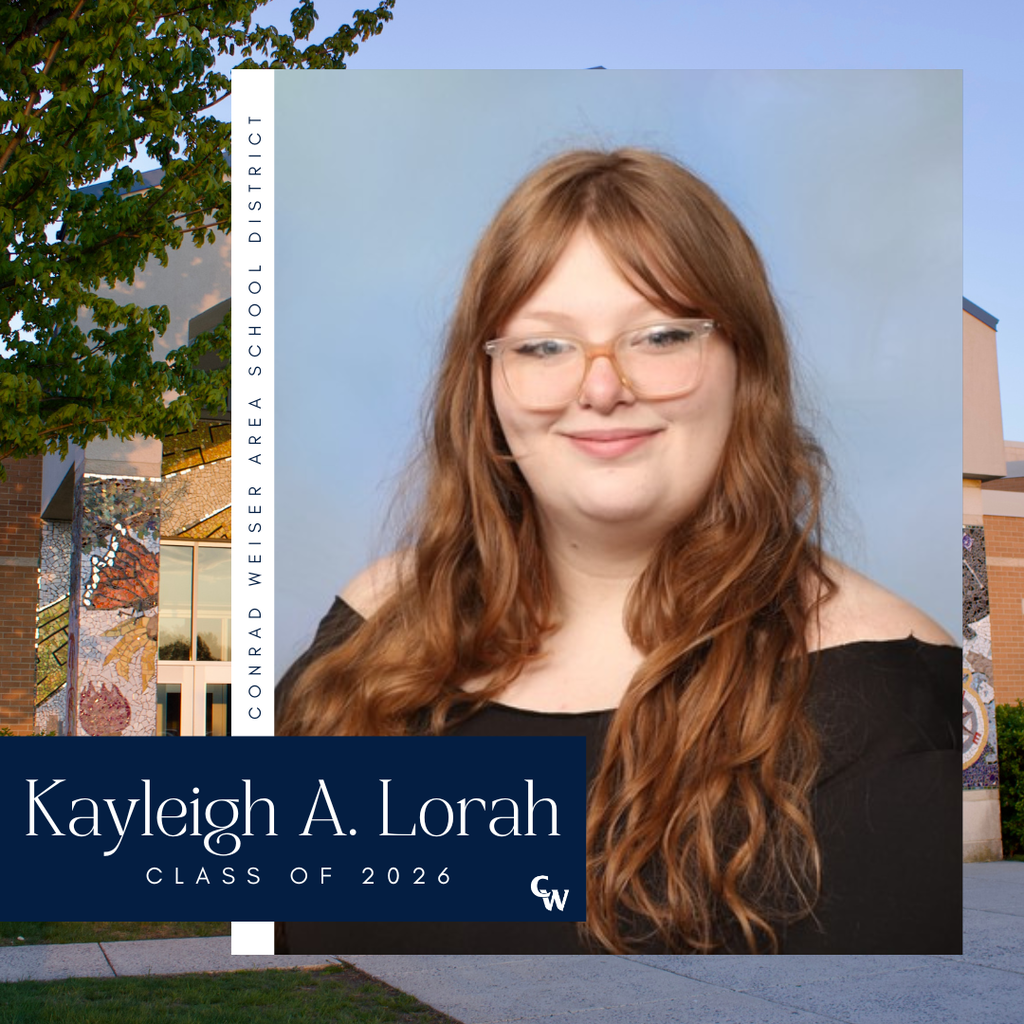 senior picture with decorative frame