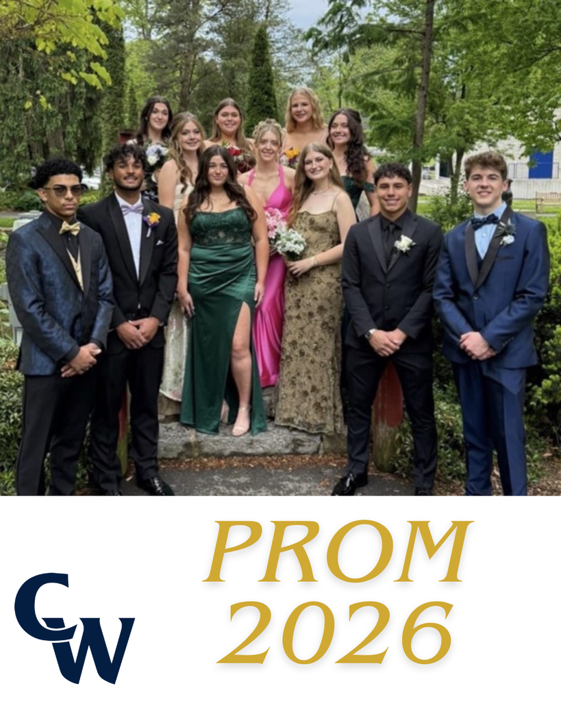group prom pictures, boys and girls in prom attire