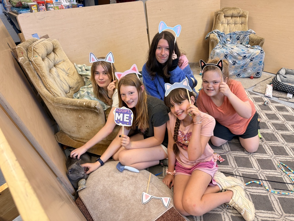 students sitting on a carpet holding signs with cats