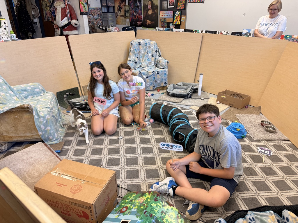 students sitting on a carpet with cats