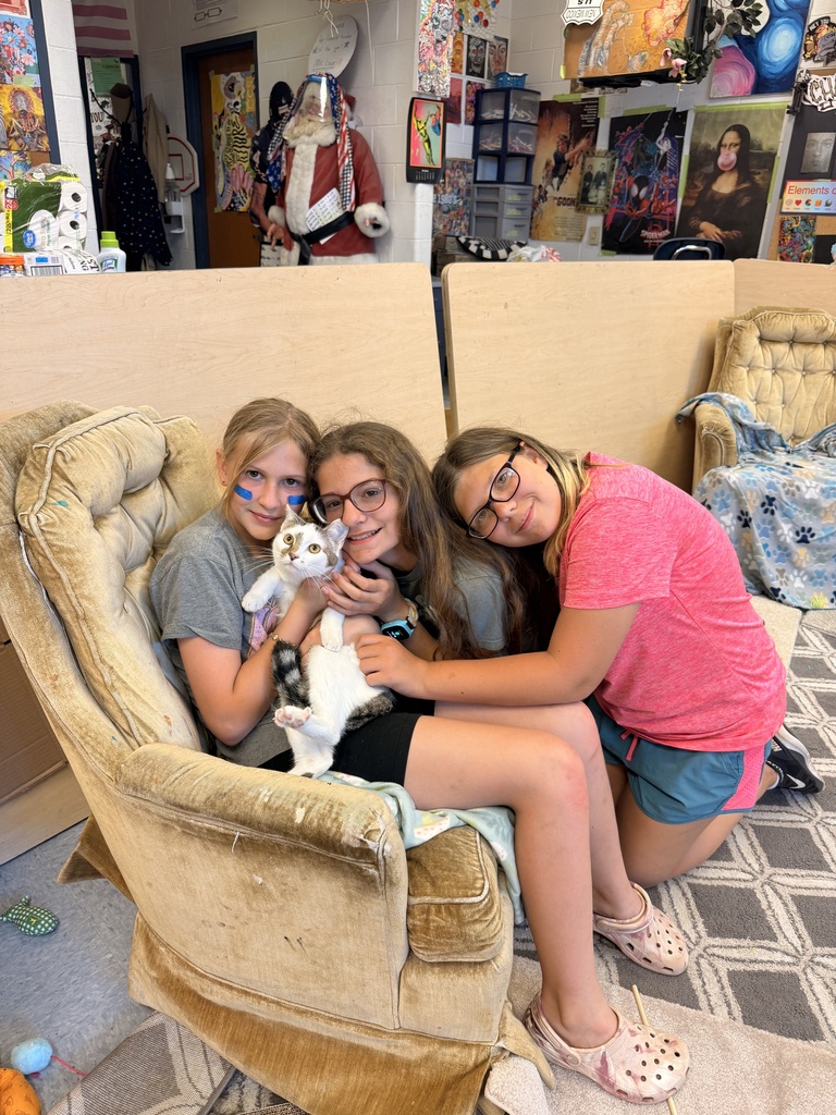 students sitting on a chair with cats