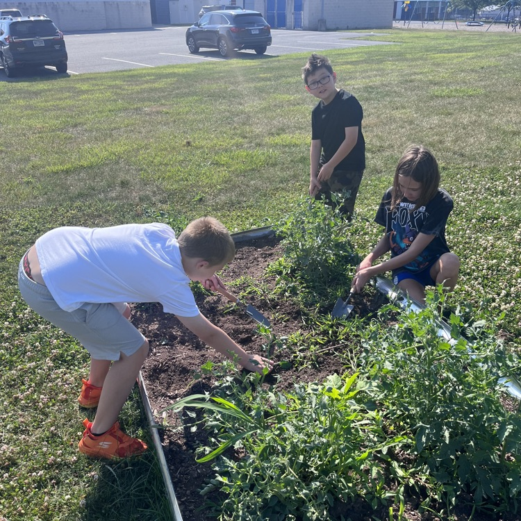 students weeding weeds out of the garden