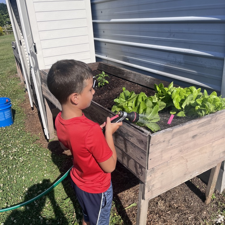 student watering