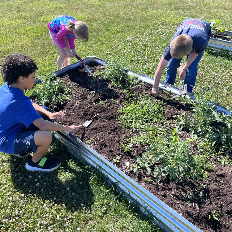 students weeding out weeds in the garden
