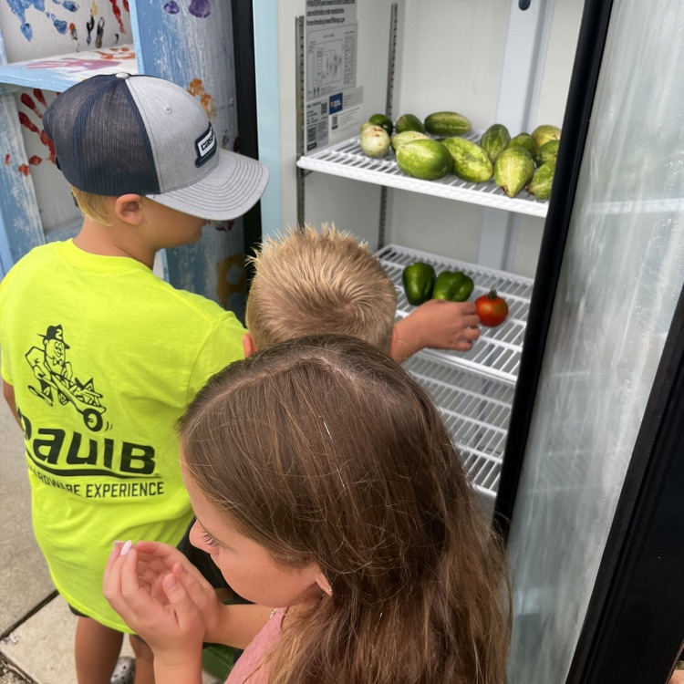 students putting crops on the shelf