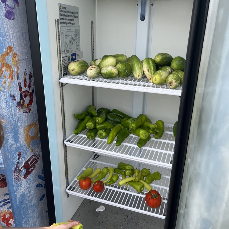 fresh food grown on campus in the fridge