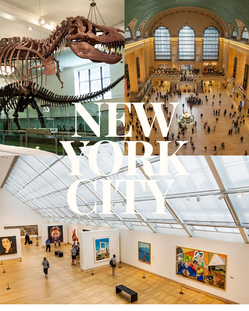 museums, art in NYC