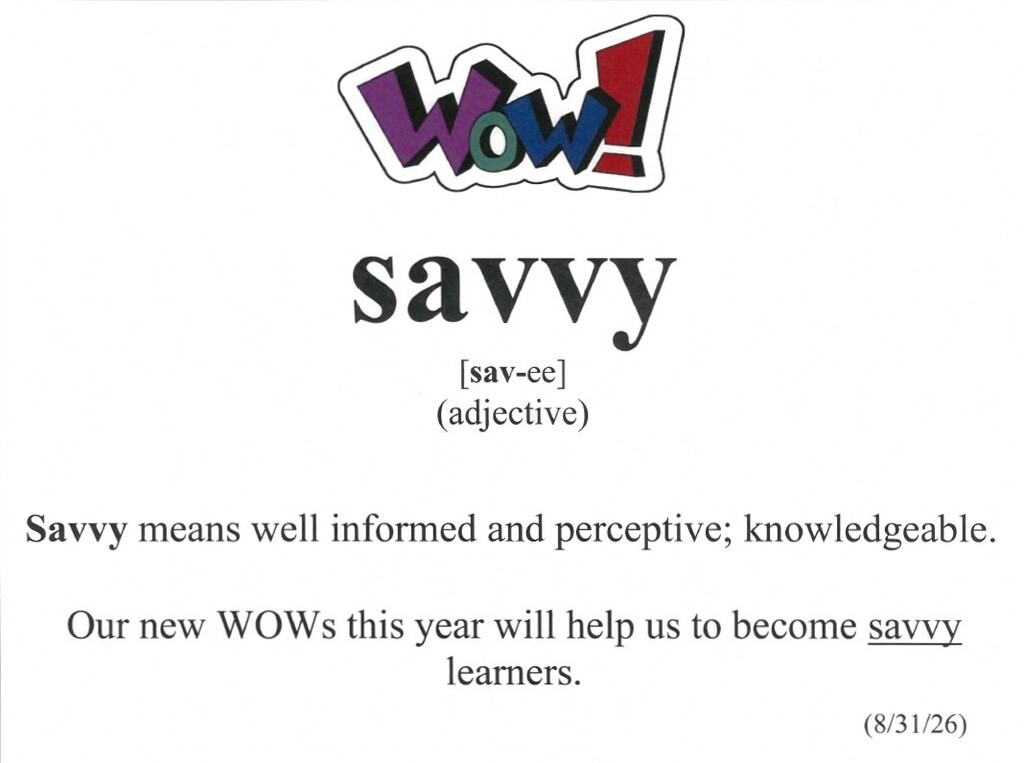 savvy WOW