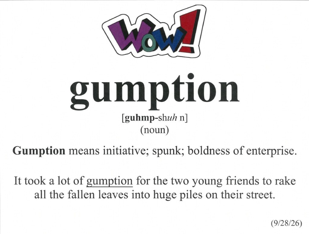 word of the week is gumption