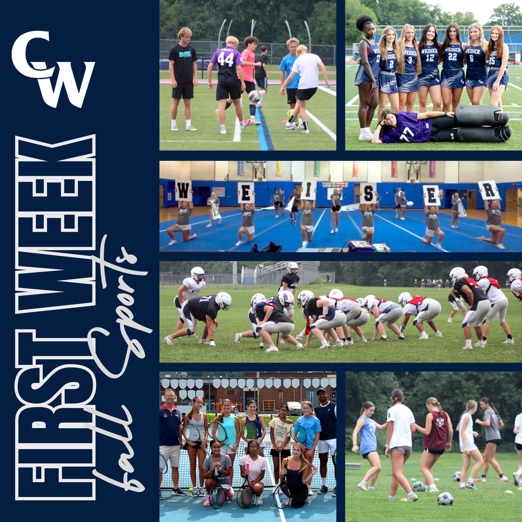 collage of fall sport athletes in action