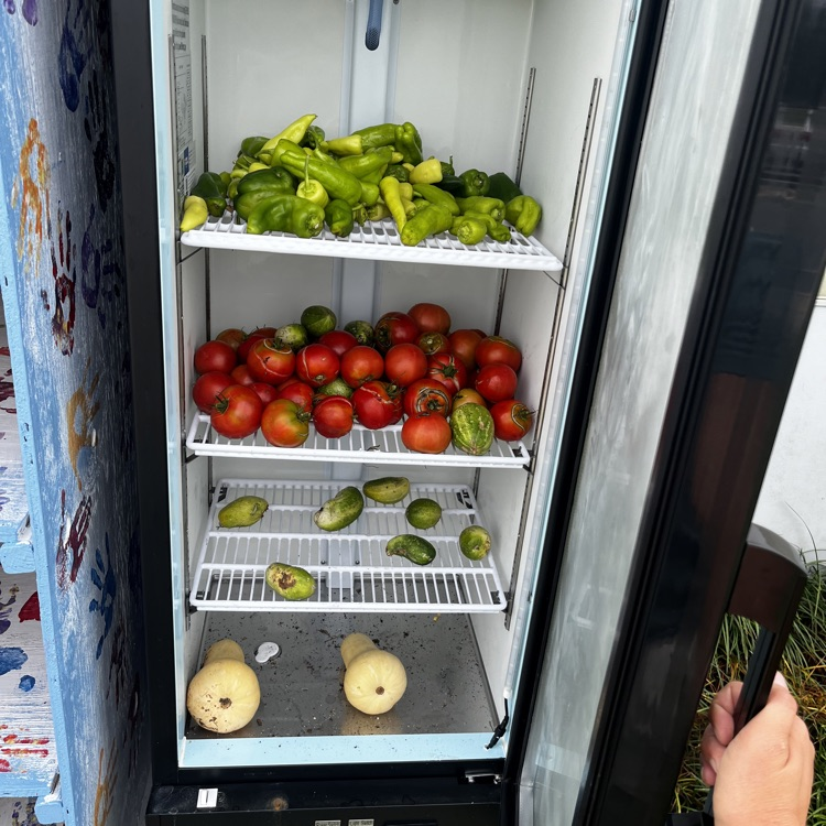 vegetables in the freedge