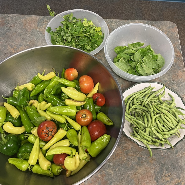 crops we harvested sitting on bowls on a table