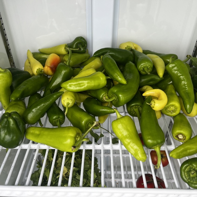 peppers that are free for the taking