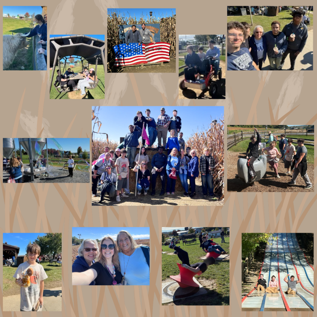 Incentive Trip Collage