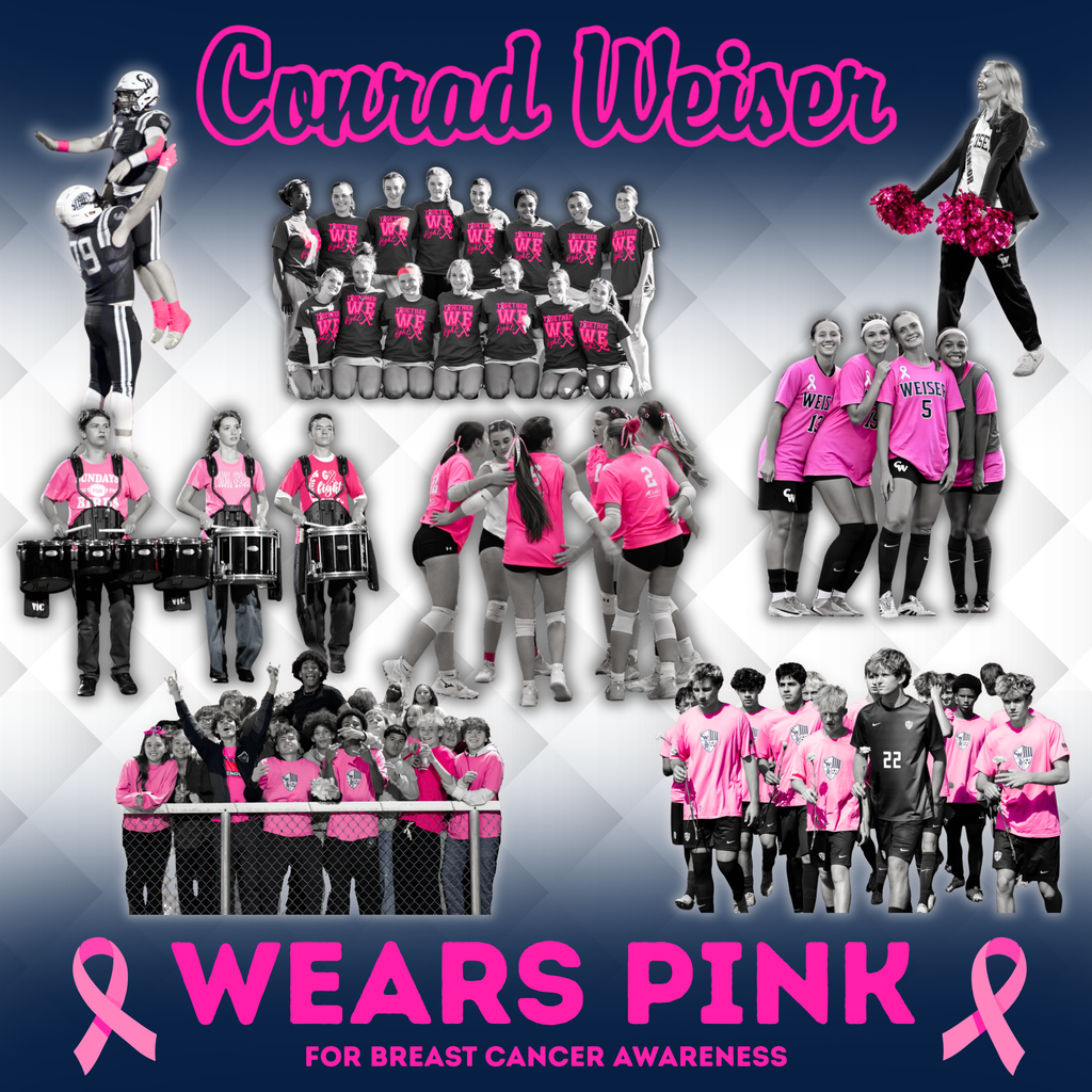 collage of student photos that are black and white, and pink shirts or socks or poms