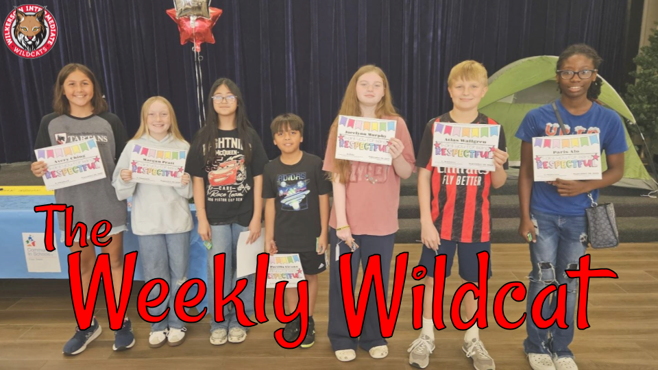 Weekly Newsletter Header