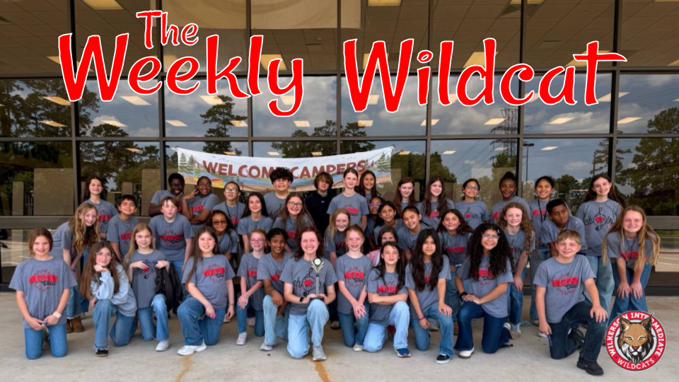 Weekly Newsletter Header