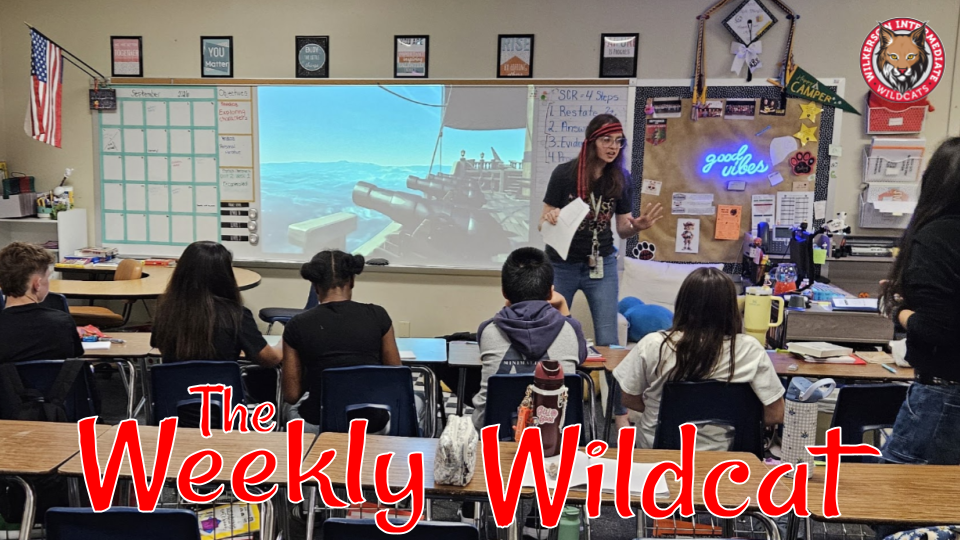 Weekly Newsletter Header