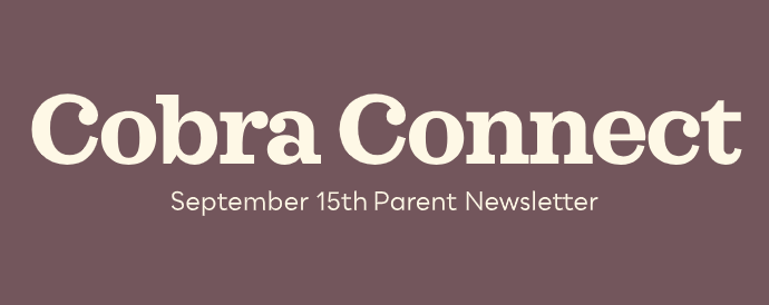 cobra connect