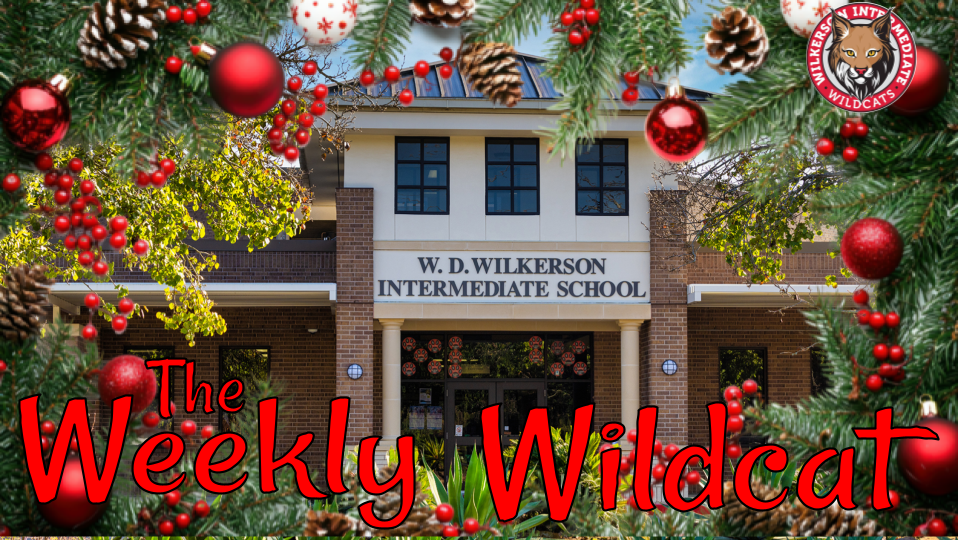 Weekly Newsletter Header