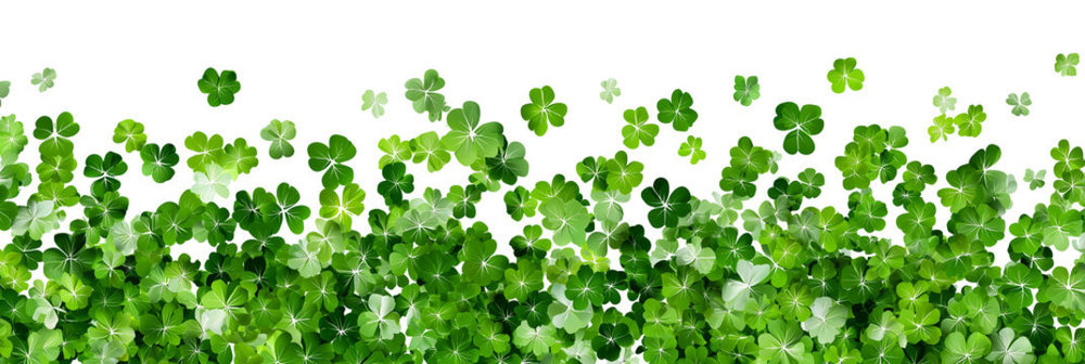 march background - clover