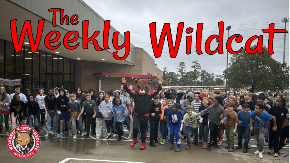 Weekly Newsletter Header