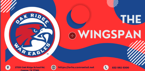 Wingspan Newsletter