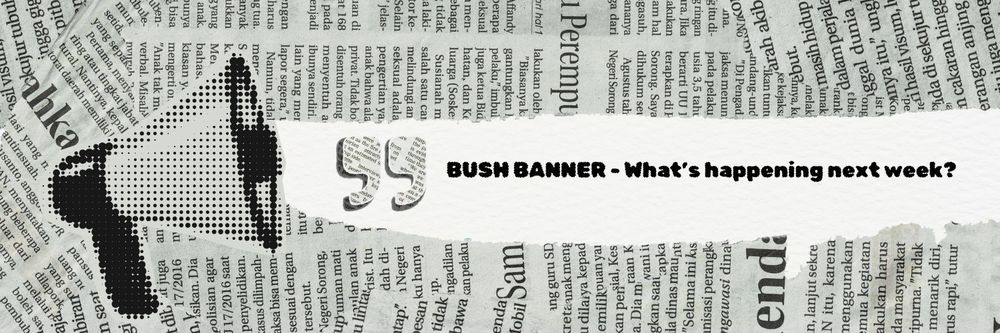 Bush Banner Heading