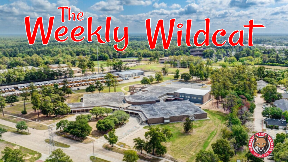 Weekly Newsletter Header