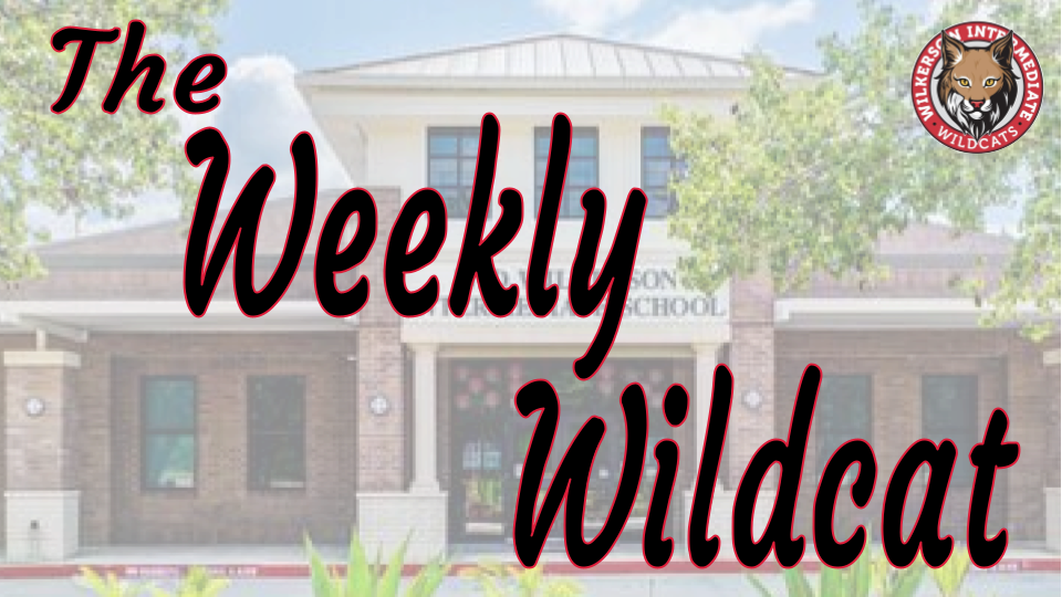 Weekly Newsletter Header