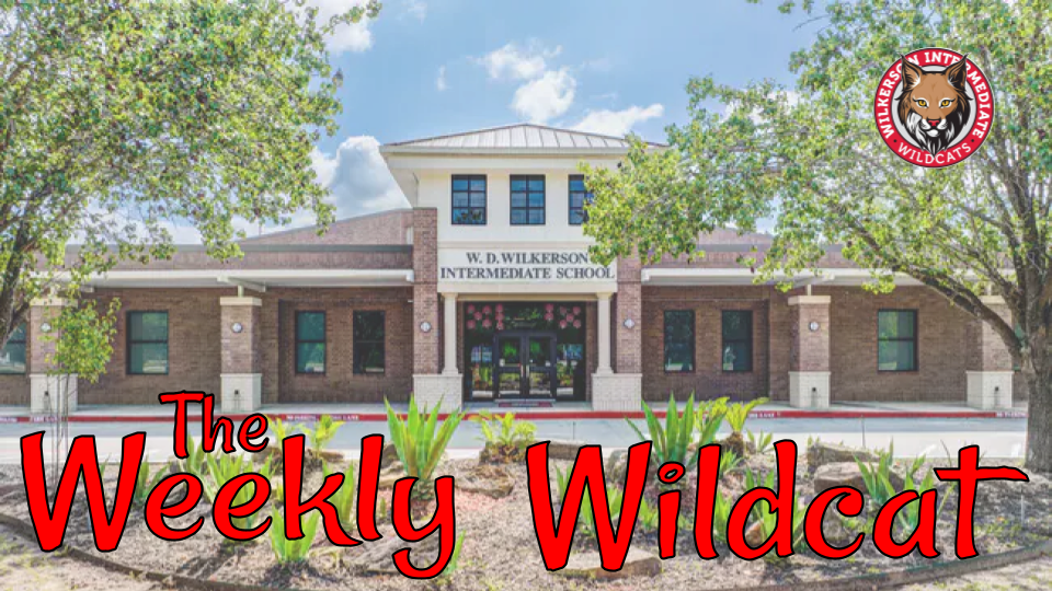 Weekly Newsletter Header