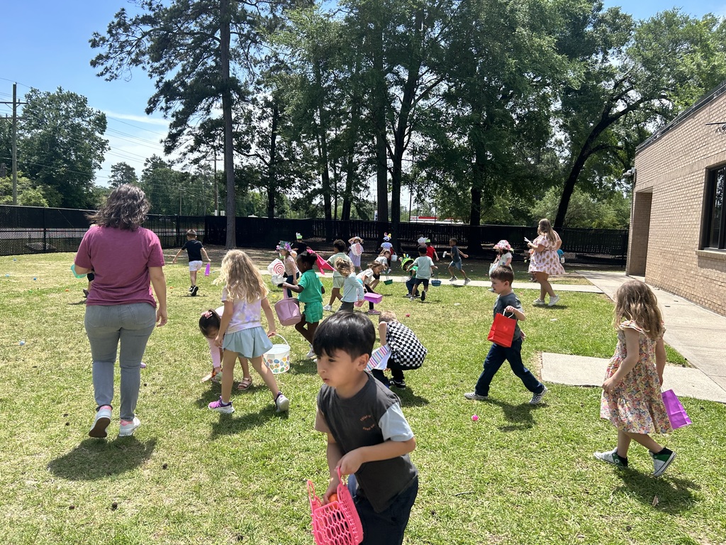 Egg Hunt