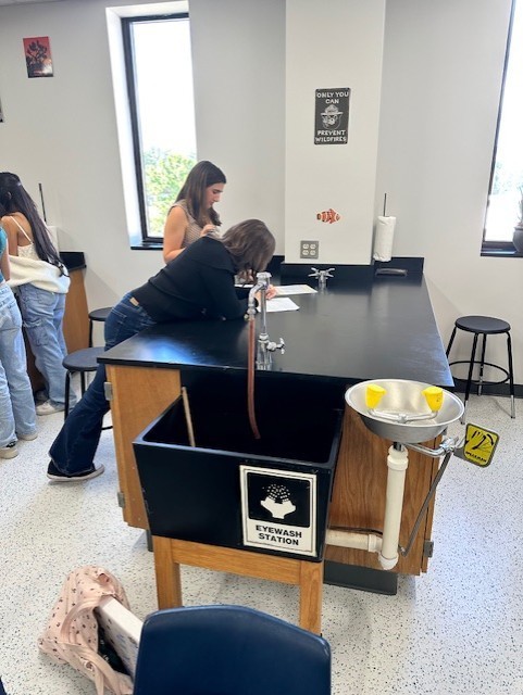 APES