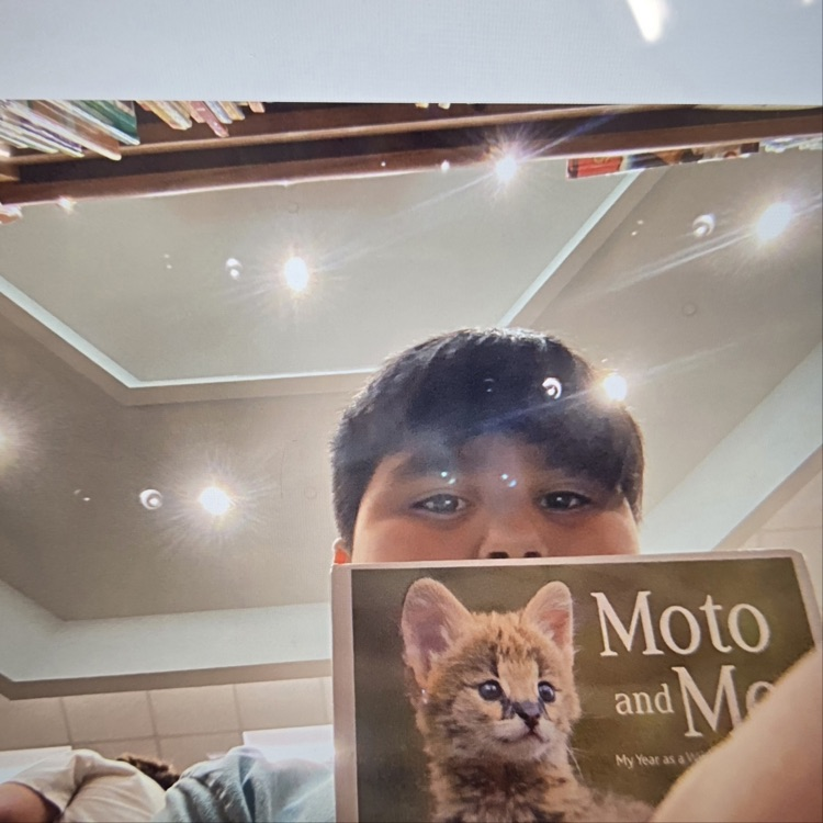 💙📖